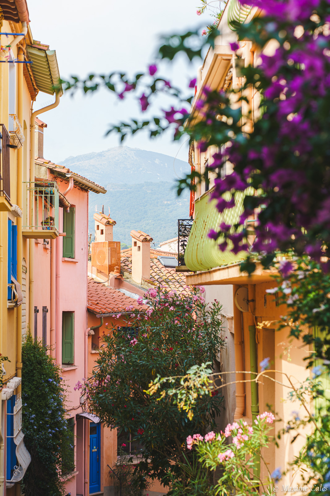 Rue de la Faneille, Collioure