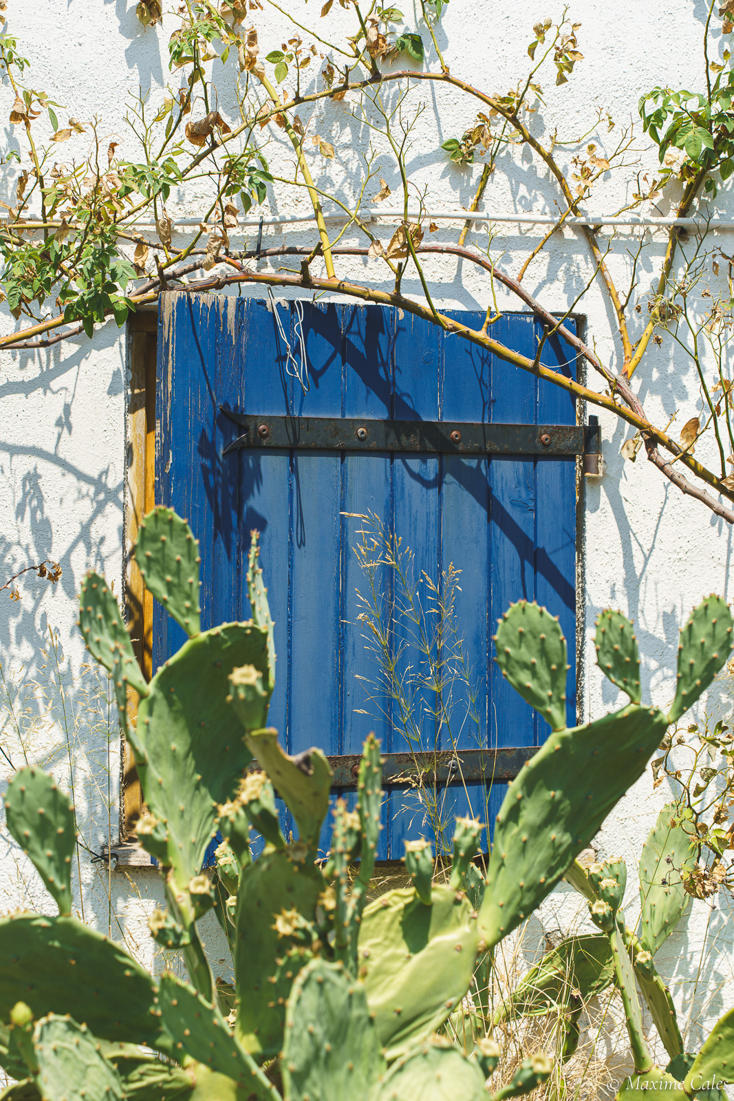 Le petit volet bleu