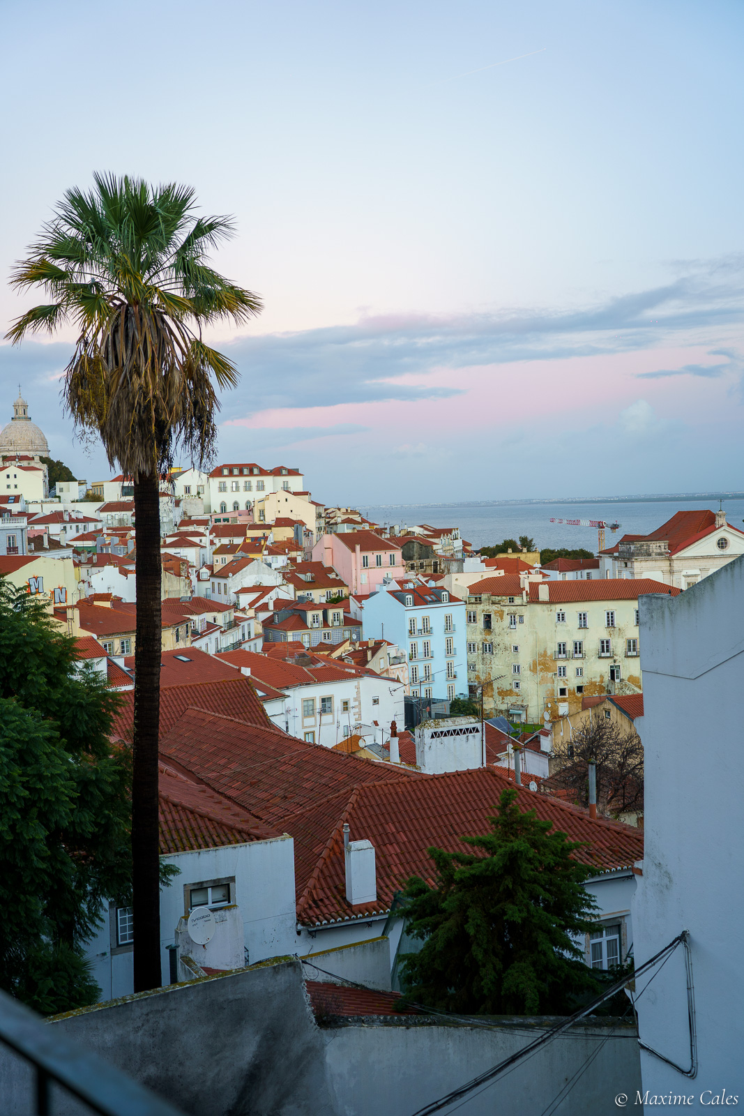 Pastel, Lisbonne