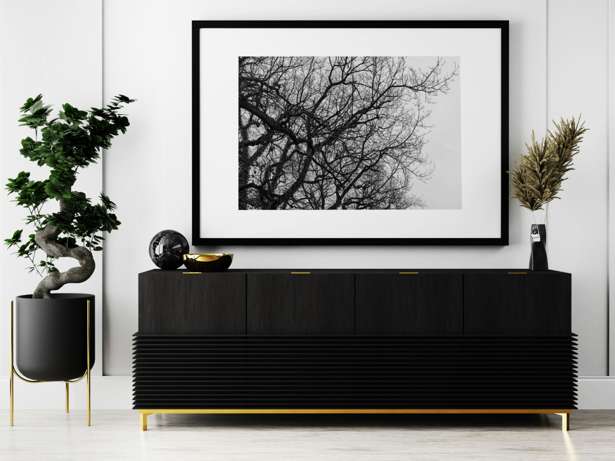 Coron-arbre-ographie - Vue 2